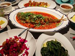 -南堂馆·新川菜(春熙路店)