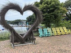 -济州森林小火车生态公园