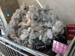 -湖南省地质博物馆