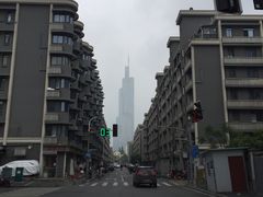 -紫峰大厦