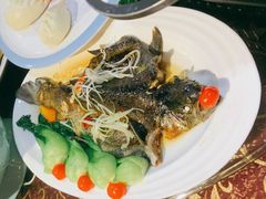 -敦煌楼(御景·阳光润园店)