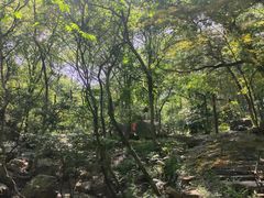 -虞山风景区