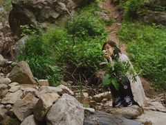 -秦岭风景区