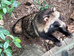 -云南野生动物园