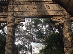 -平湖九龙山旅游度假区