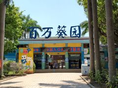-百万葵园