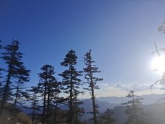 -朱雀国家森林公园