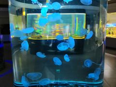 -常州海昌海洋探索馆