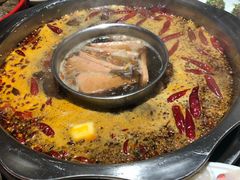 -一斗火锅·招财羊毛肚(北温泉九号店)