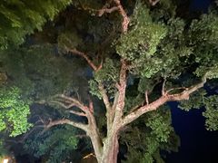 -古堰画乡景区