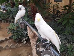 -南宫五洲植物乐园