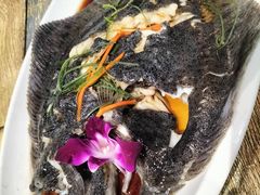 -渡海小渔村.老辈日照菜