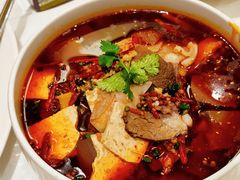 -洋洋中餐馆·SINCE 1997(龙湖星湖天街店)