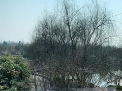 -南阳建业森林半岛假日酒店