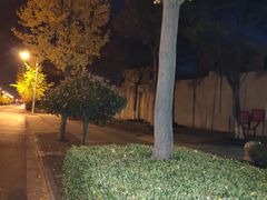 -上海夏阳湖皇冠假日酒店-停车场