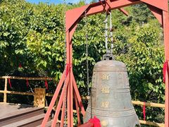 -金龙寺国家森林公园