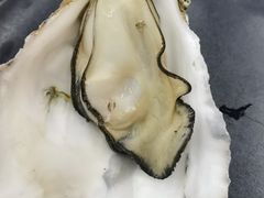 -蚝山·喷汽火山生蚝(前福路店)
