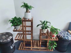 教室环境-爱乐蒙艺术·古筝 钢琴 声乐(科华校区)