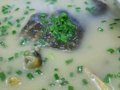 -良友水鱼城