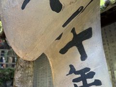 -石台牯牛降景区
