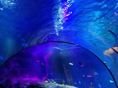 -沈阳海洋探索中心