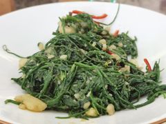 -十二毡房蒙餐·蒙古包