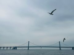 -星海广场