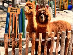 -水上乐园·欢乐世界