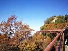 -少华山国家森林公园