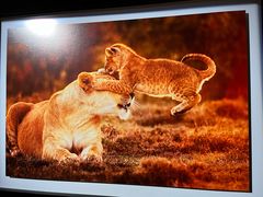 -罗红摄影艺术馆