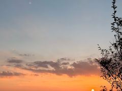-江西阳明山国家森林公园