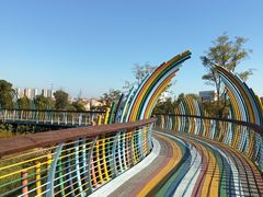 -西山漾湿地公园