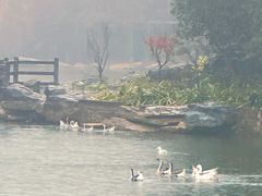 -广州市帽峰山景区