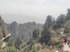 -老君山风景名胜区