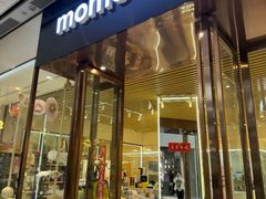 -momokira米努特·德文卷毛猫·棉花面纱犬