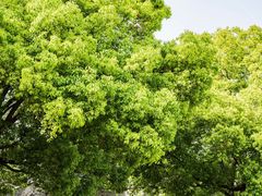 -鼓楼(西湖风景名胜区)