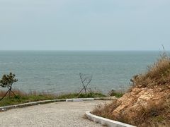 -仙人岛
