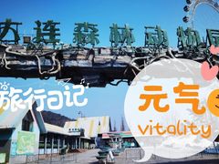 -大连森林动物园