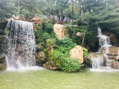 -广州市帽峰山景区
