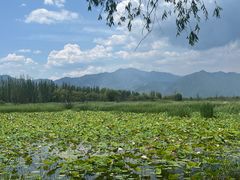 -野鸭湖国家湿地公园
