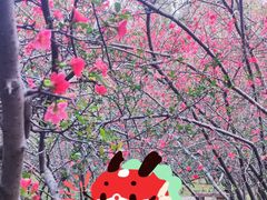 -塔子山公园