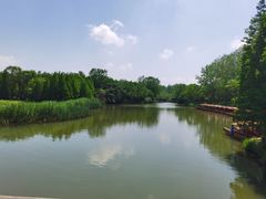 -溱湖国家湿地公园