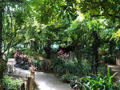 -呀路古热带植物园