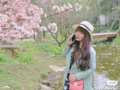 -秀丽东方