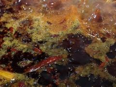 -星鸿社重庆老火锅