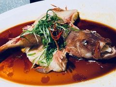 清蒸东星斑-维园悦谱·海派家常菜(乌鲁木齐南路店)