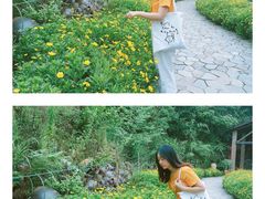 -远山有窑