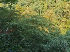 -古龙峡漂流