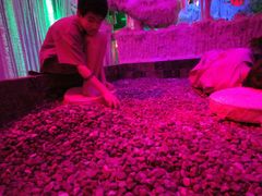 -水晶之星洗浴温泉汗蒸