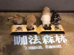 -咖法森林·咖啡  酒吧(天河店)